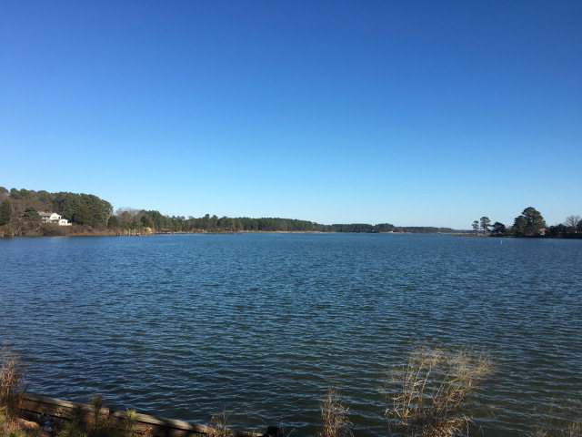 Bank Owned - Large Acreage - Waterfront - 2 homes